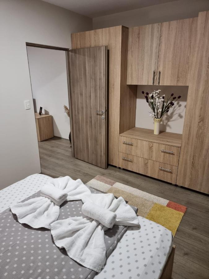 Apartment Premium Timisoara