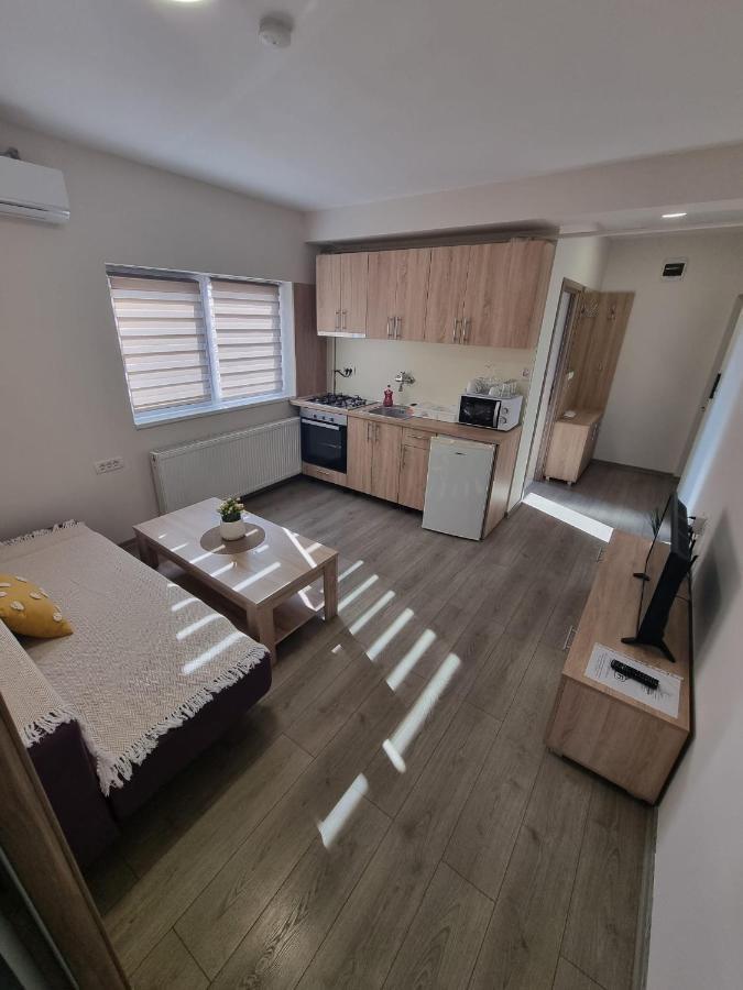 Apartment Premium Timişoara