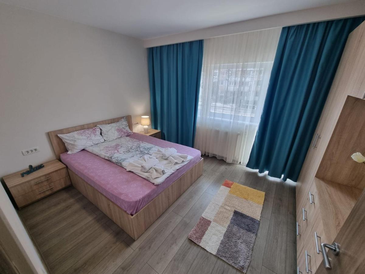 Premium Timisoara