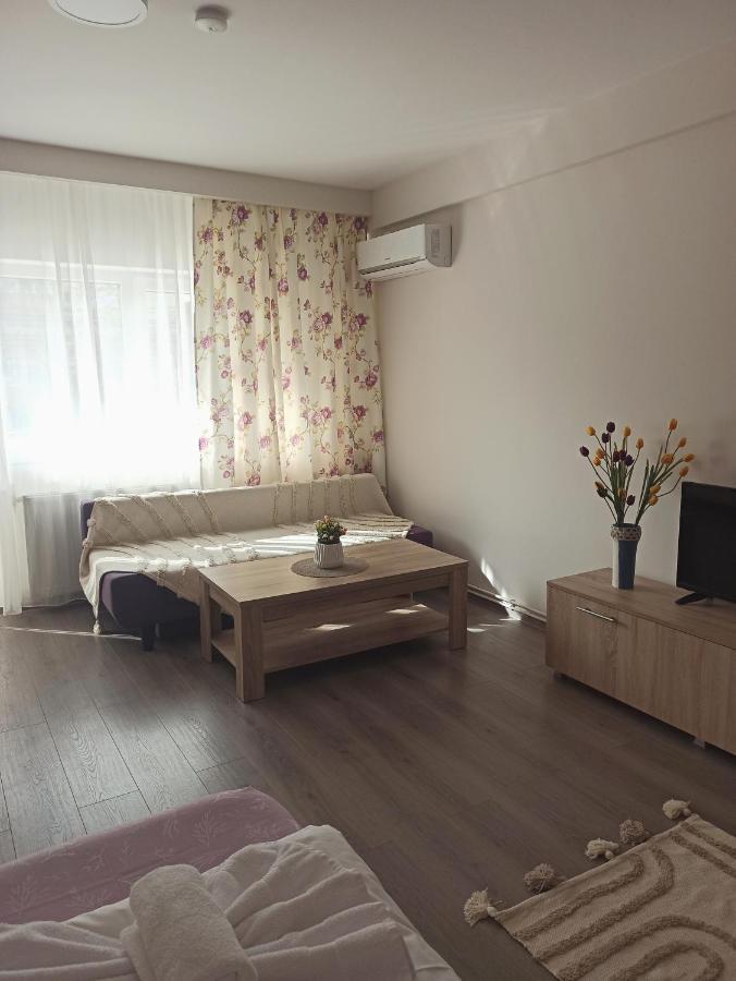 Premium Apartment Timişoara