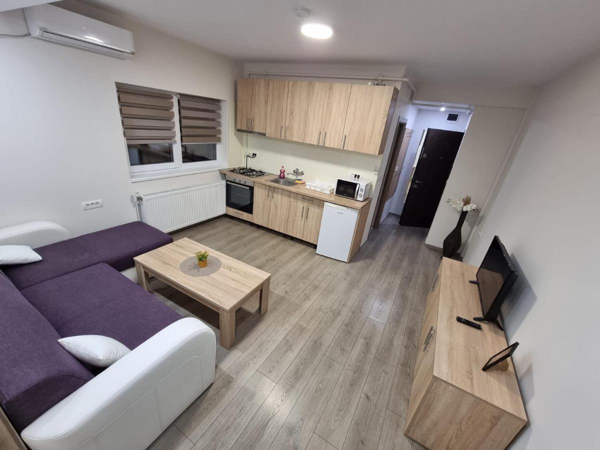 Apartment Premium Timişoara